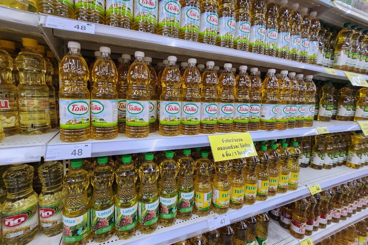 หวั่นน้ำมันปาล์มขวดวิกฤต สต๊อก CPO วูบเหลือ 2 แสน หลังส่งออกเฉียดล้านตัน