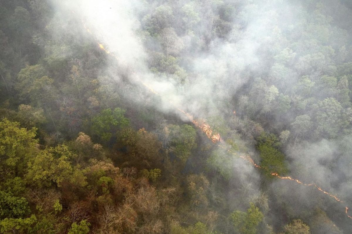 จุดความร้อนไทย 1.4 พันจุด จ.เชียงใหม่ พบมากสุด 193 จุด