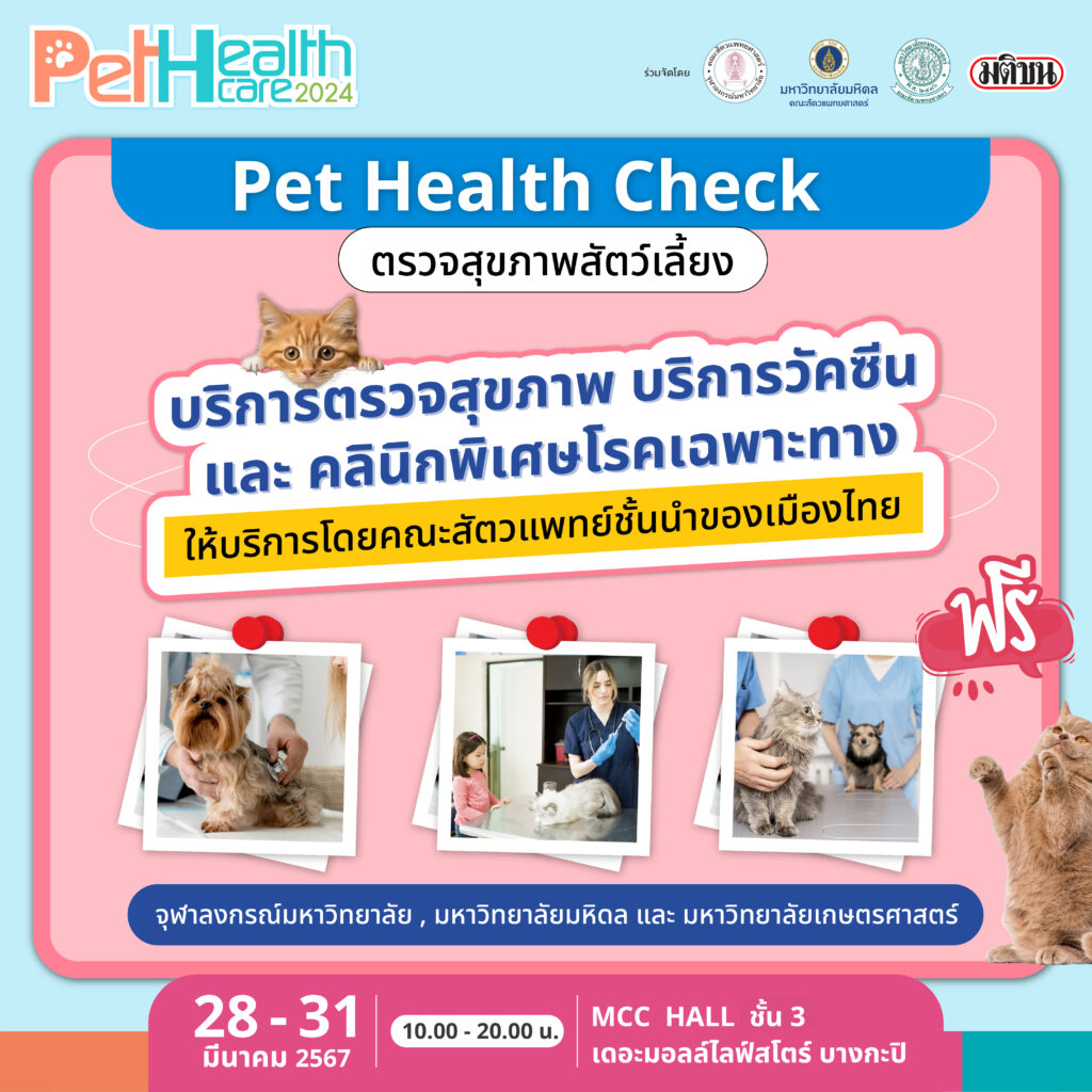 Pet Healthcare 2024
