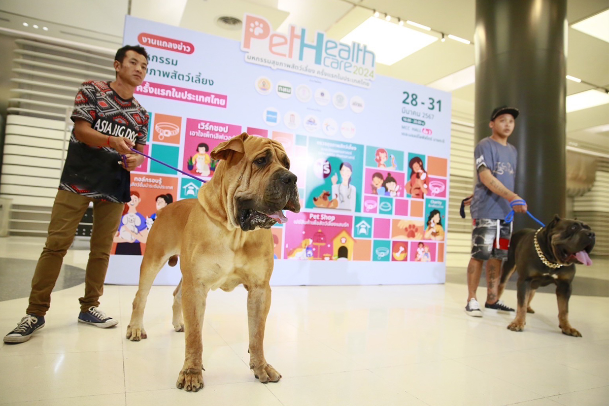 Pet Healthcare 2024