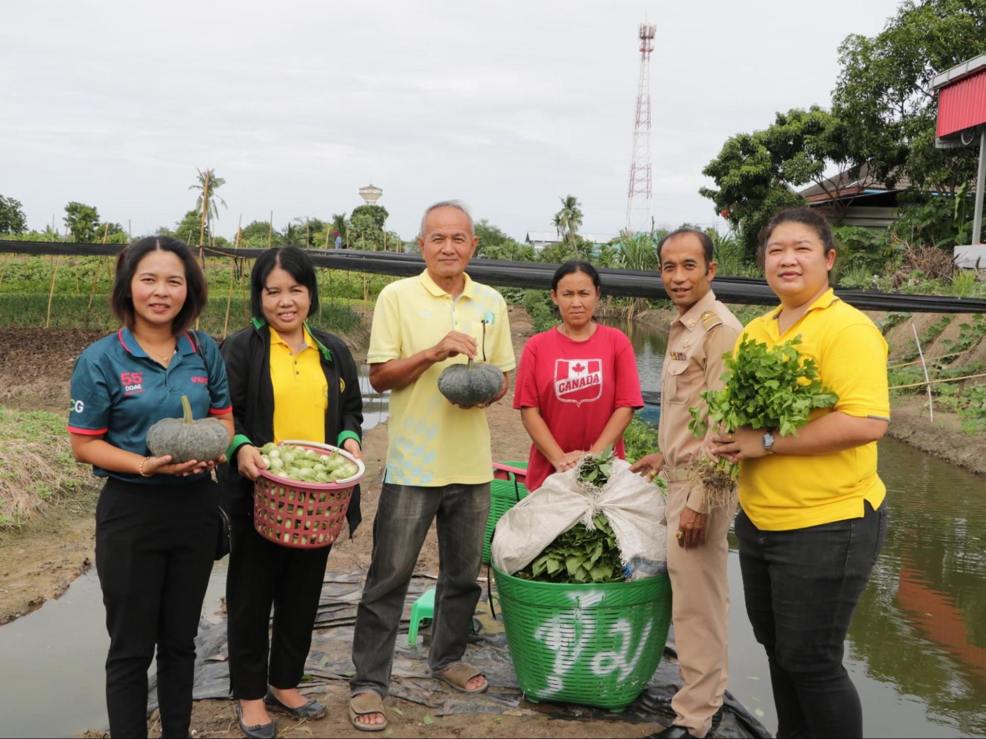 กรมส่งเสริมการเกษตรหนุนเกษตรกรปลูกพืชผักผลไม้ปลอดภัย
