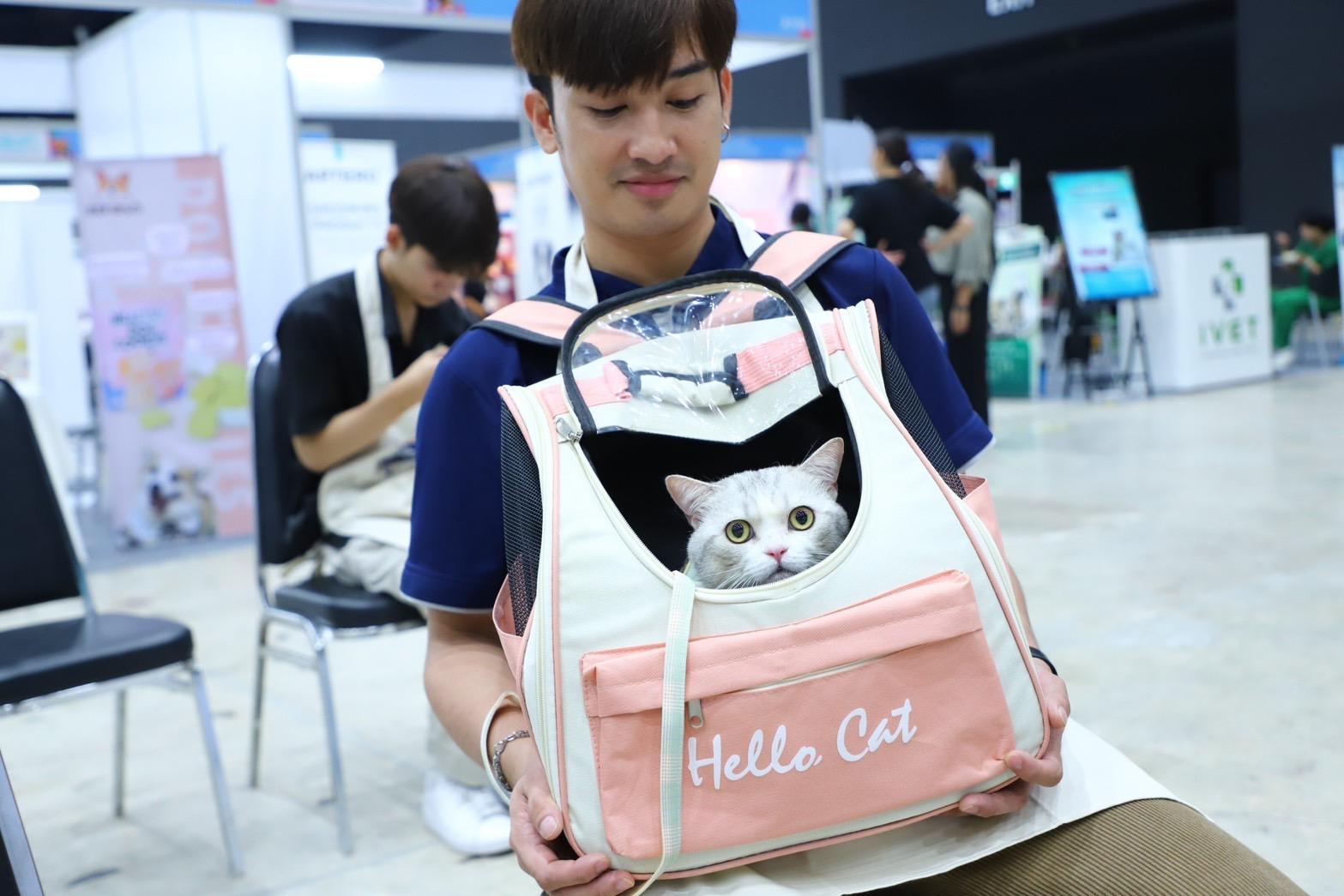 อย่าปล่อยให้น้องเหงา! พามาเดินเล่น ตรวจสุขภาพ-ฉีดวัคซีนฟรี ทำเวิร์กชอป เปย์ให้อิ่ม ที่งาน Pet Healthcare 2024