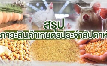 สรุปภาวะสินค้าเกษตรประจำสัปดาห์ วันที่ 4 - 8 มีนาคม 2567