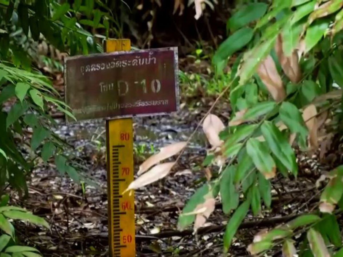 เมืองคอนแล้งหนัก เริ่มกระทบป่าพรุควนเคร็ง น้ำใต้ผิวดินลดลงต่อเนื่อง
