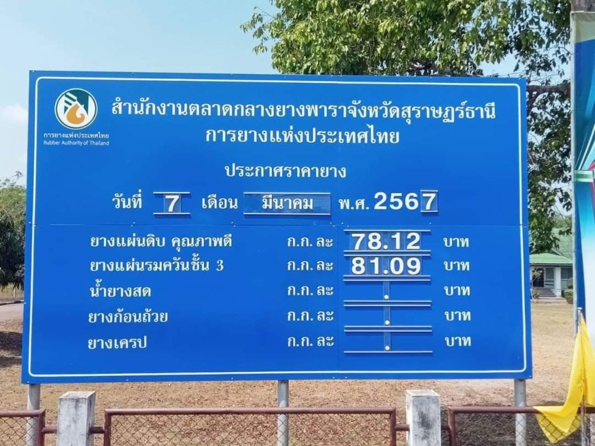 ราคายางทุบสถิติรอบใหม่กิโลกรัมละ 81.09 บาท