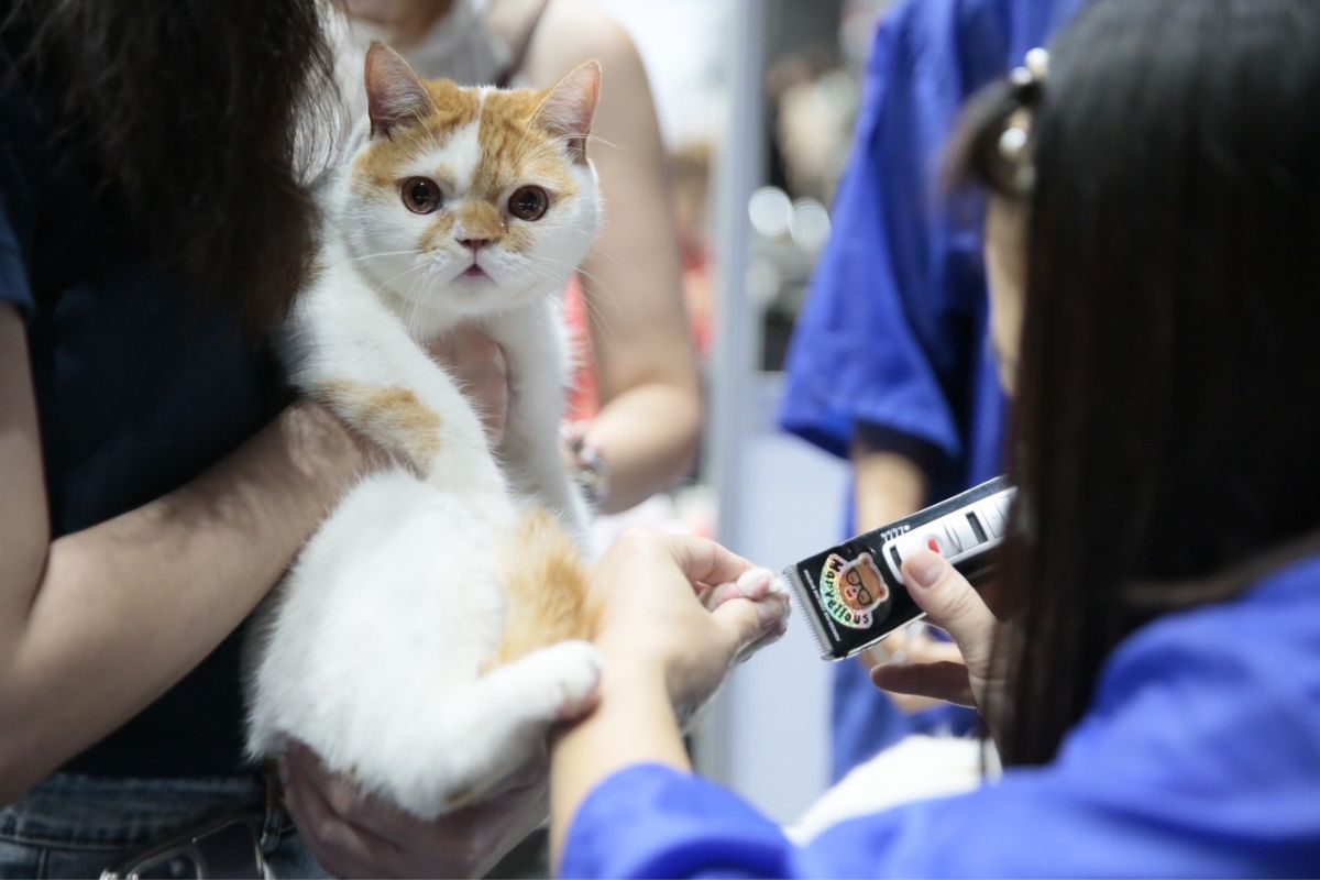 Pet Healthcare 2024 เริ่มแล้ว มติชนจัดใหญ่รับเมกะเทรนด์ ตรวจสุขภาพสัตว์เลี้ยงฟรี 28-31 มี.ค.