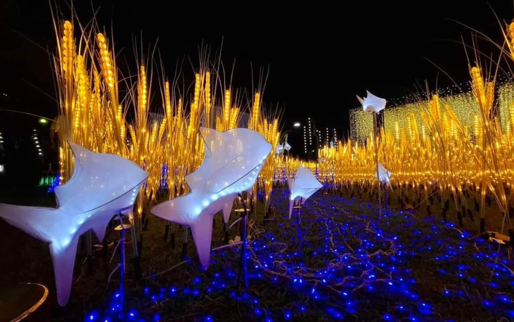 พิพิธภัณฑสถานแห่งชาติ พระนคร