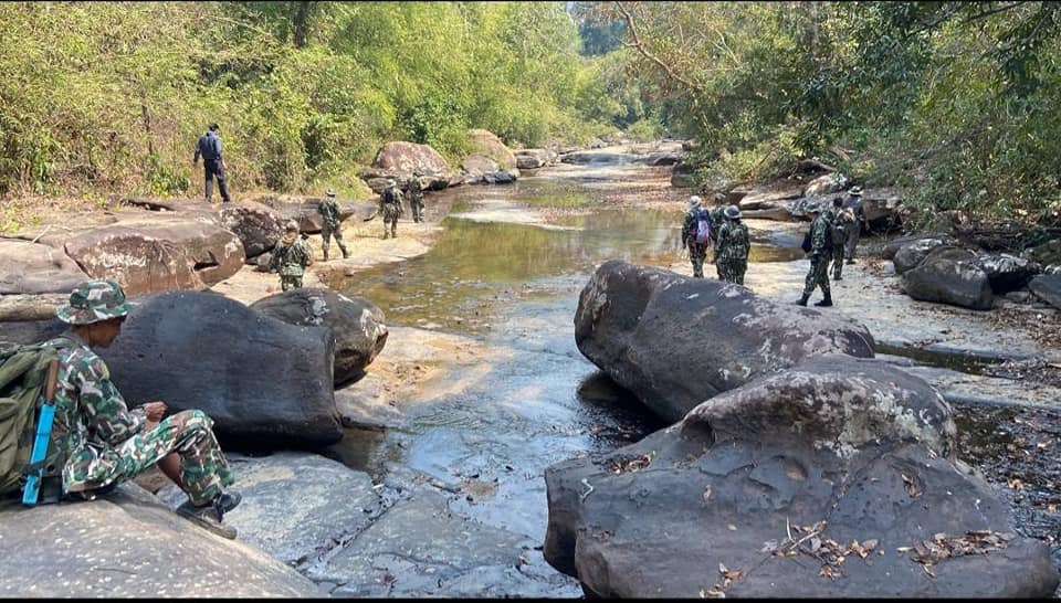 พบจระเข้น้ำจืดสายพันธุ์ไทย สถานะใกล้สูญพันธุ์ ใน
