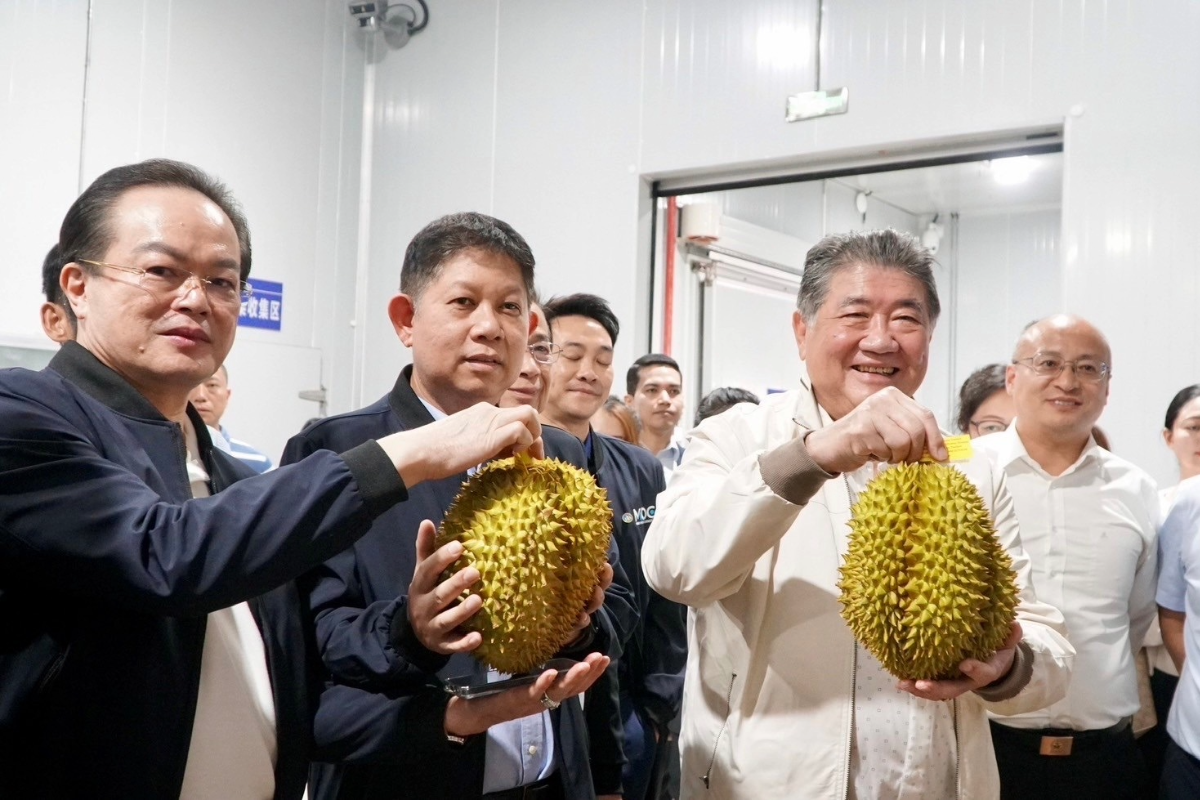 ไม่น่าเชื่อ ส่งทุเรียนไทยถึงจีนใน 3 วัน ภูมิธรรม เจรจาเปิดด่านโม่ฮาน-บ่อเต็นฉลุย