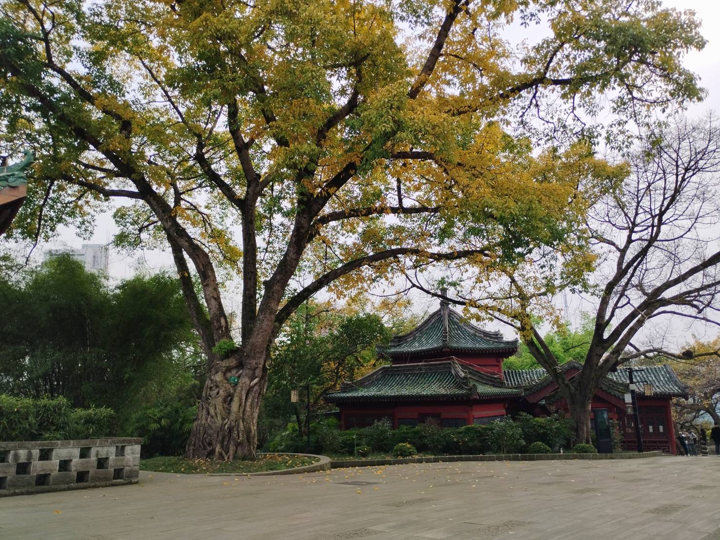 Green Chongqing