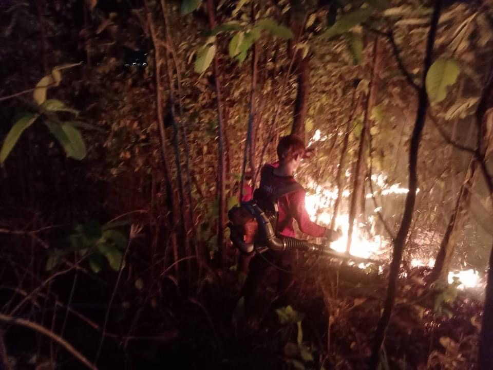 ไฟไหม้ป่าดอยสุเทพวอด 60 ไร่ คาดคนลอบจุดล่าสัตว์