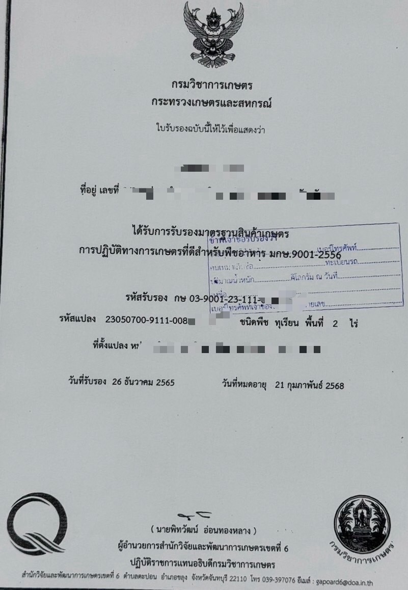 ตรวจทุเรียน