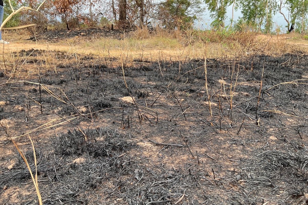 ไทยเดือดพุ่ง 3.3 พันจุด “ค่าฝุ่น PM 2.5” 21 จังหวัดเหนือ-อีสานยังหนัก