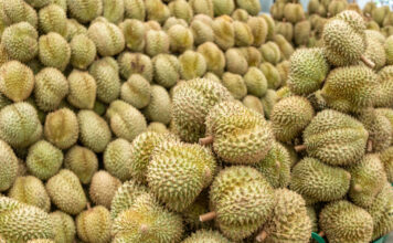 durian