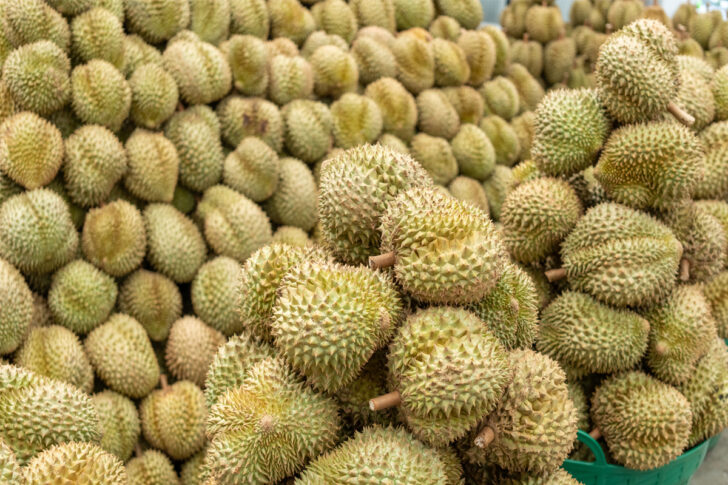 durian durian