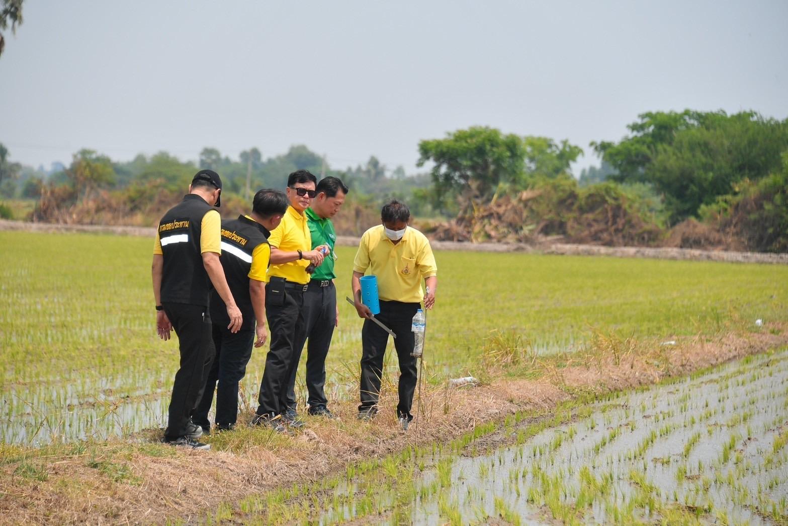 กรมชล ฯ ร่วม Thaicid เตรียมขยายพื้นที่ทำนาข้าวแบบเปียกสลับแห้ง