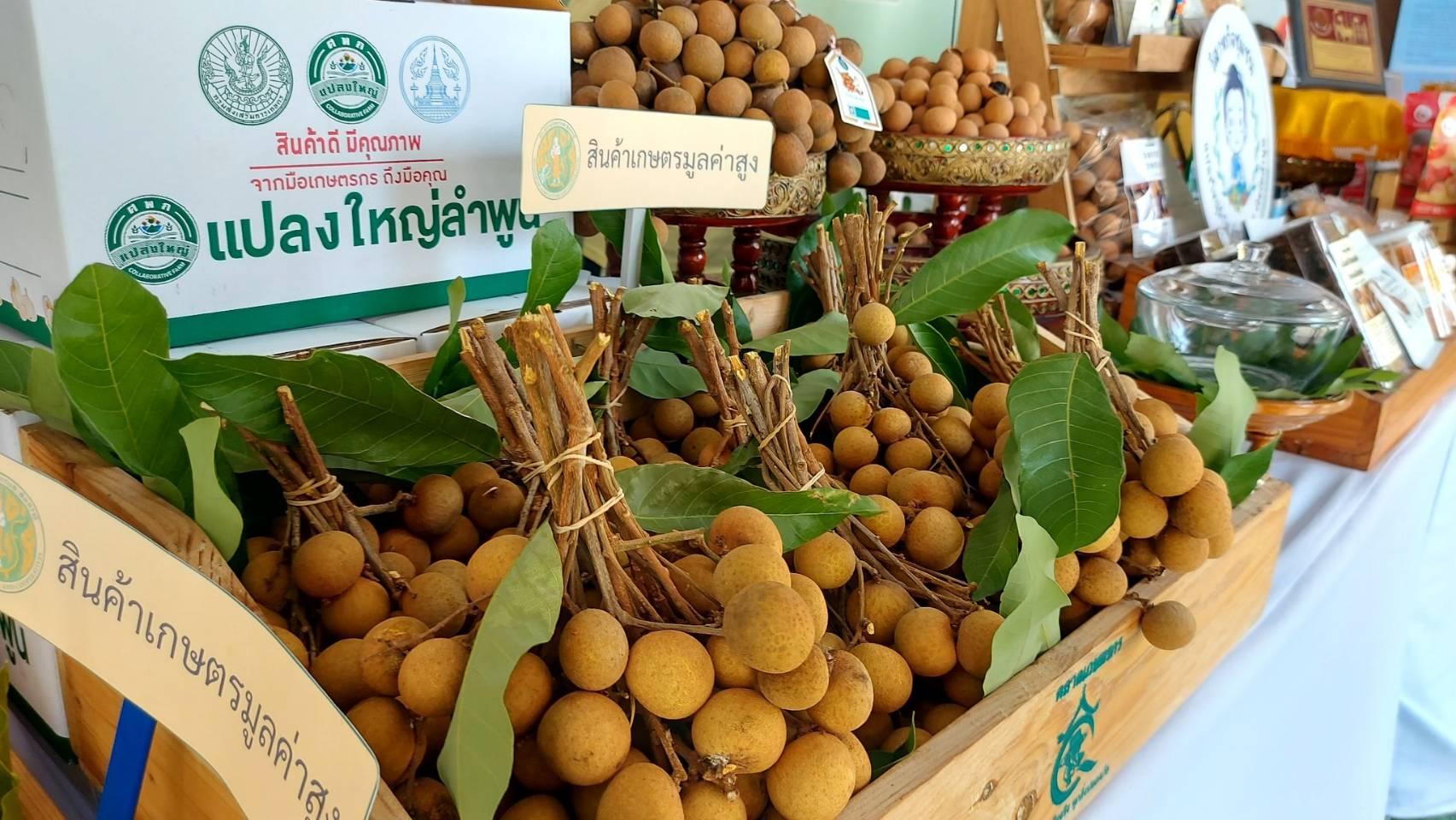 กรมส่งเสริมการเกษตรโชว์ผลงานแก้ปัญหาสินค้าเกษตร ลำไย มะม่วง จ.ลำพูน