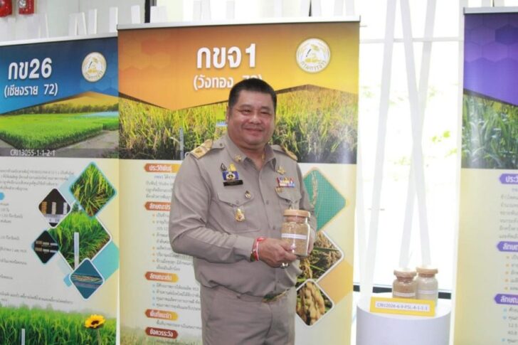 image2 ‘กรมการข้าว’ ประกาศรับรอง ‘10 ข้าวพันธุ์ใหม่’ เฉลิมพระเกียรติ ร.10