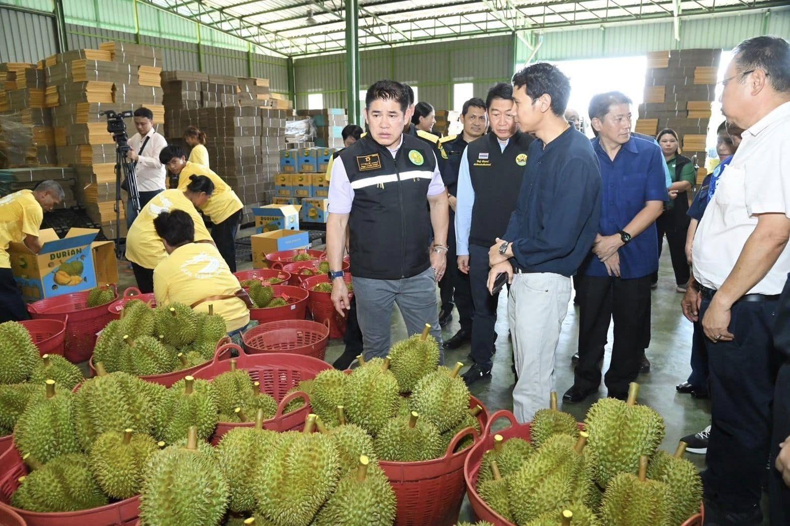 สหกรณ์การเกษตรเขาคิชฌกูฏ จำกัด ต้นแบบสหกรณ์ส่งออกทุเรียนลุยตลาดจีน