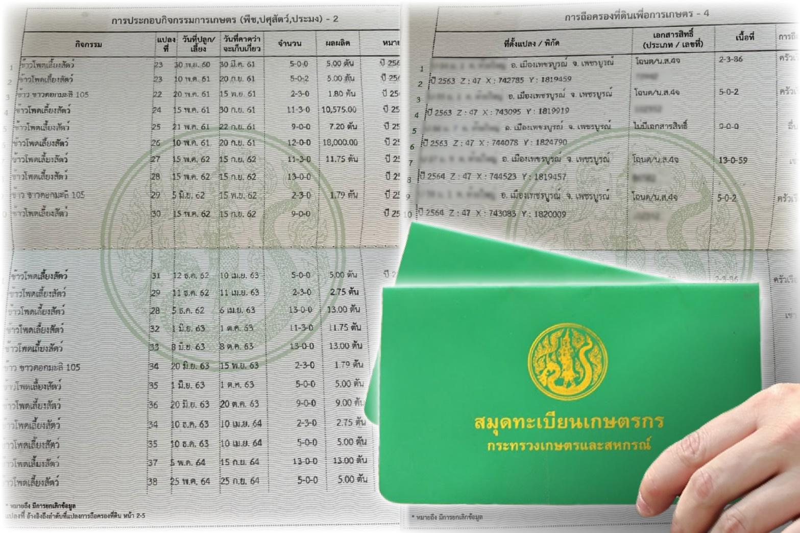 เกษตรกรชี้ซีพีเข้มตรวจสอบย้อนกลับ ไม่รับซื้อข้าวโพดที่ไม่มีเอกสารสิทธิ์