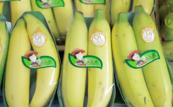 กล้วยหอมทองปทุมธานี สินค้าเกษตรมูลค่าสูงที่ตลาดต้องการ