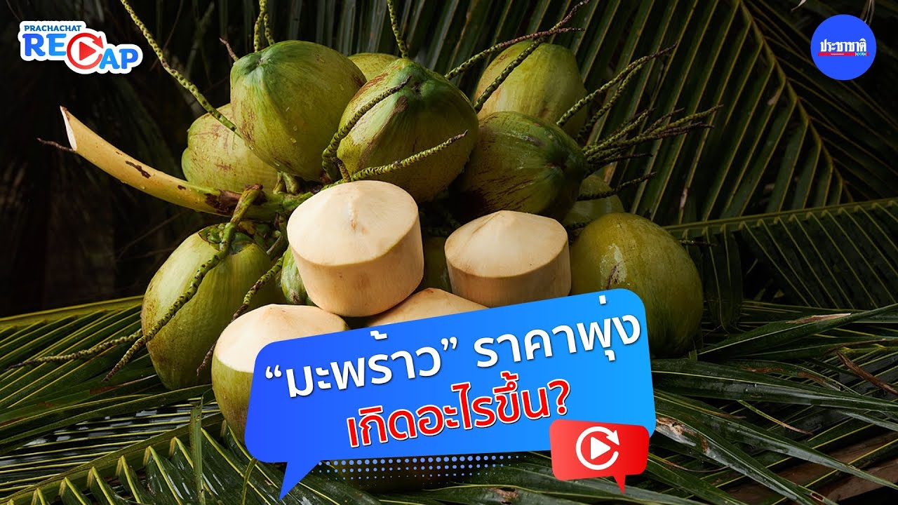 “มะพร้าว” ราคาพุ่งเป็นประวัติการณ์ ลูกเดียว 65-80 บาท เกิดอะไรขึ้น?