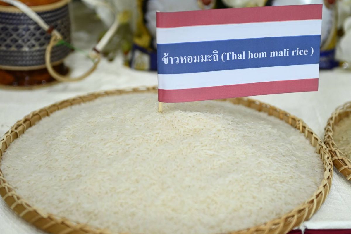 รัฐบาลเศรษฐาประเดิมขายข้าวไปอินโดนีเซีย ลอตแรก 55,000 ตัน