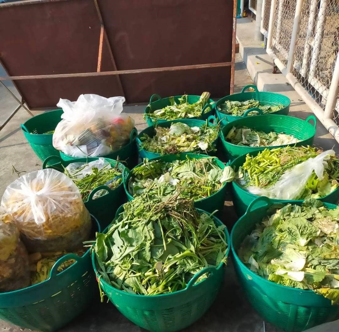 กทม.เผยผลสำเร็จ “ไม่เทรวม” เปิด Top 5 ตลาดย่านไหนแยกเศษอาหารดี