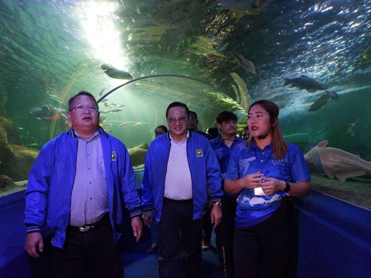 สวนสัตว์เชียงใหม่ เปิด“ซู อควาเรียม”อุโมงค์ปลายาวที่สุดในโลก