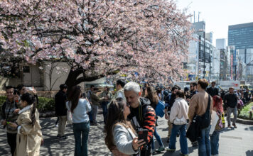 นักท่องเที่ยวชมซากุระที่สวนอูเอโนะ ในกรุงโตเกียว ประเทศญี่ปุ่น
