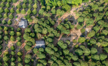 Green Finance