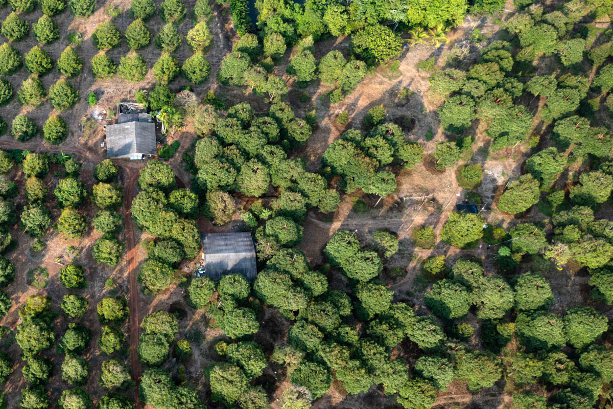 Green Finance เครื่องมือสู่ความยั่งยืน ของภาคเกษตรและอาหารไทย