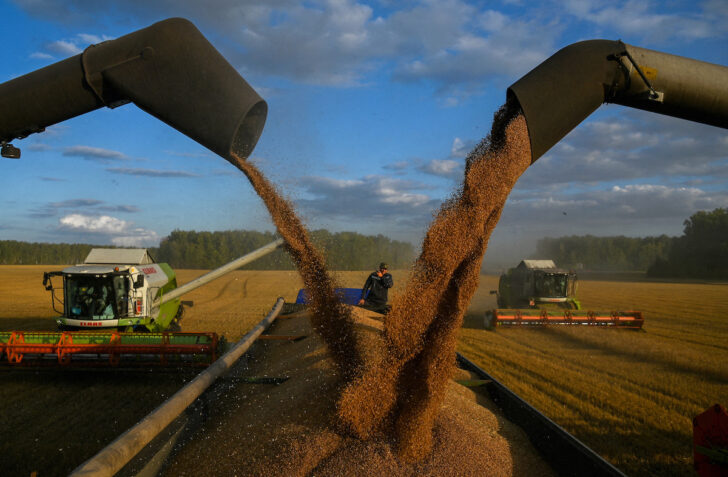 Wheat_Russia การเก็บเกี่ยวข้าวสาลีในแคว้นออมสค์ (Omsk) ประเทศรัสเซีย