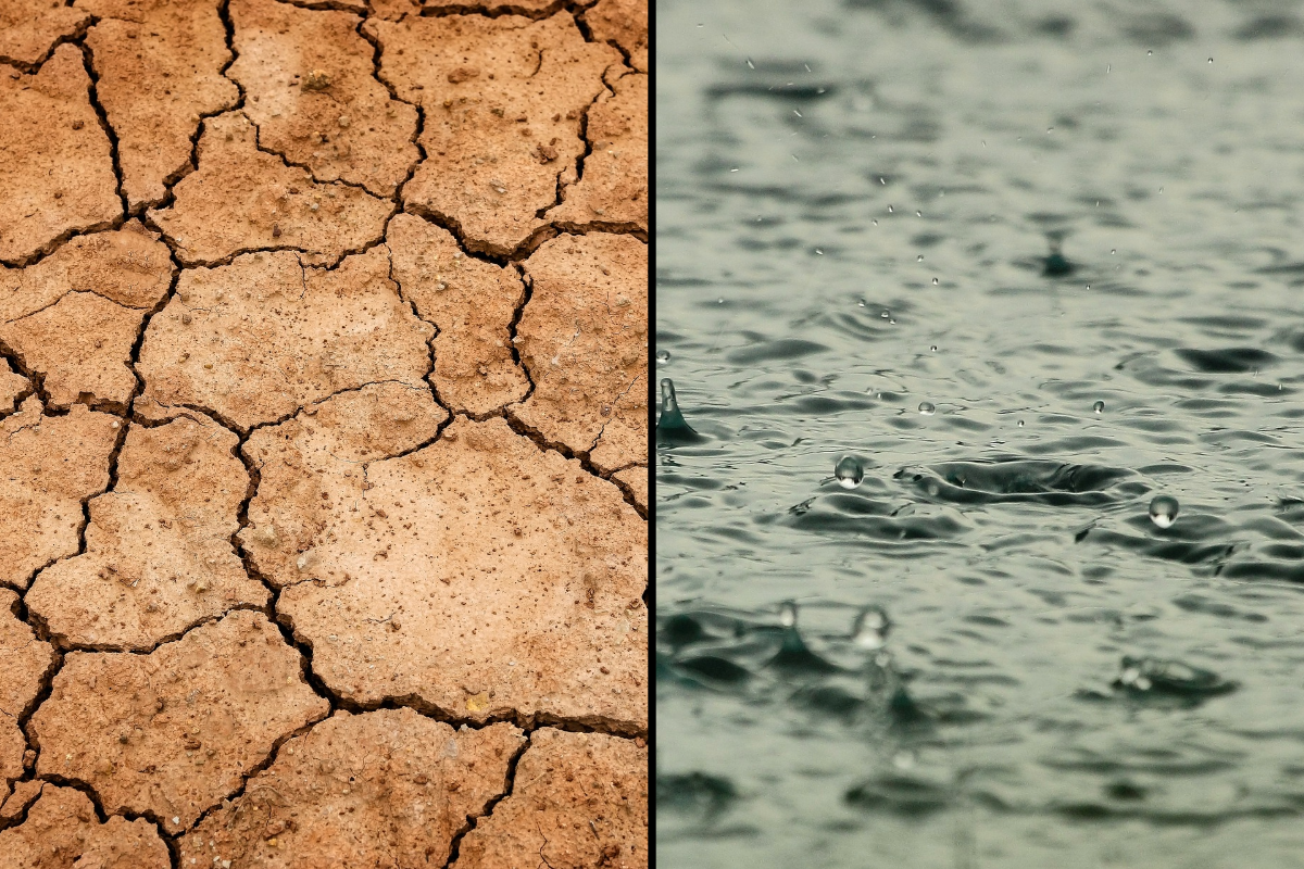 El Nino La Nina เอลนีโย ลานีญา