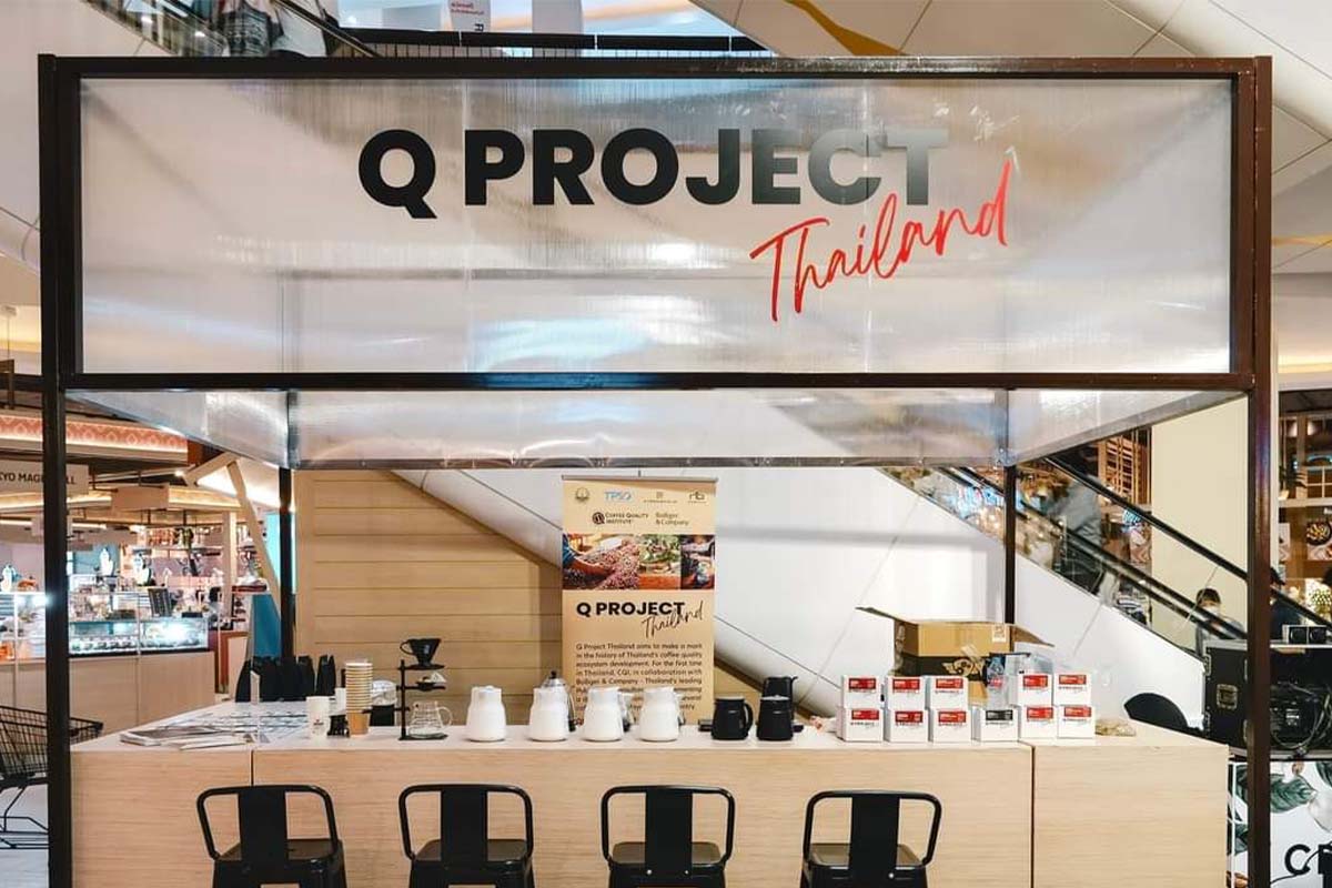 Q Project