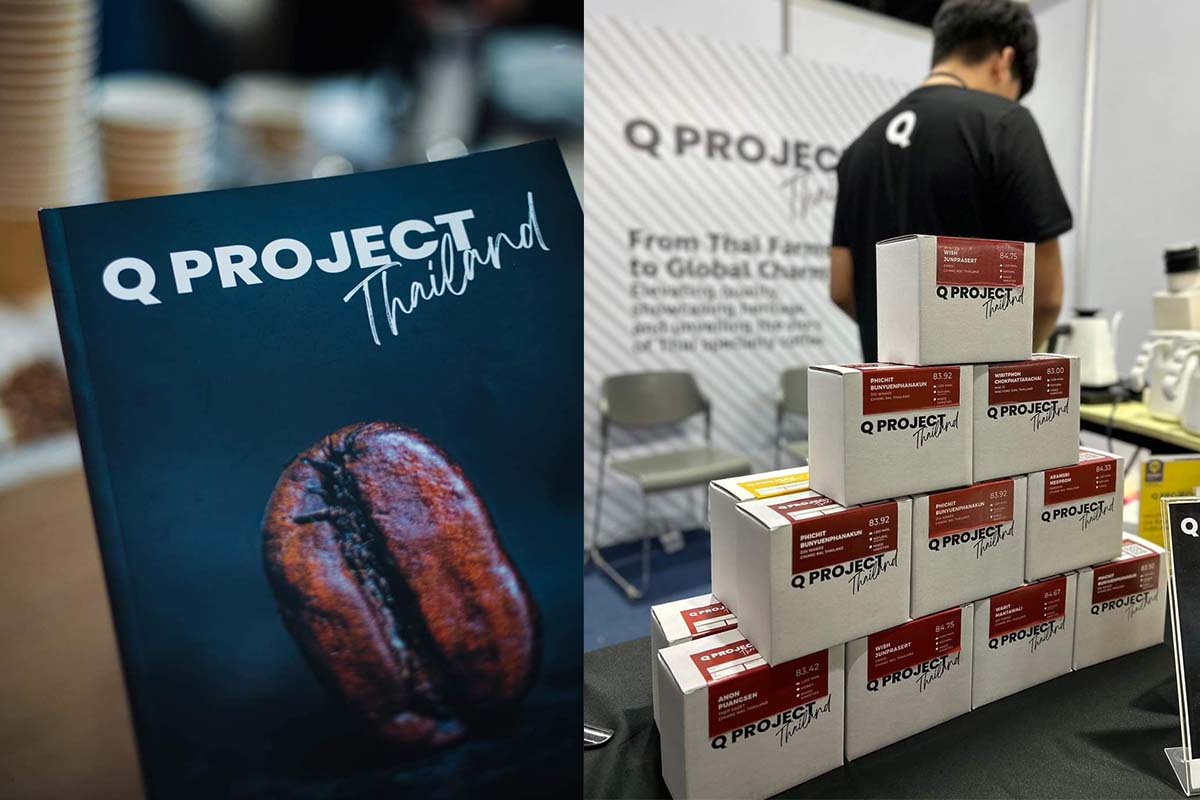 Q Project