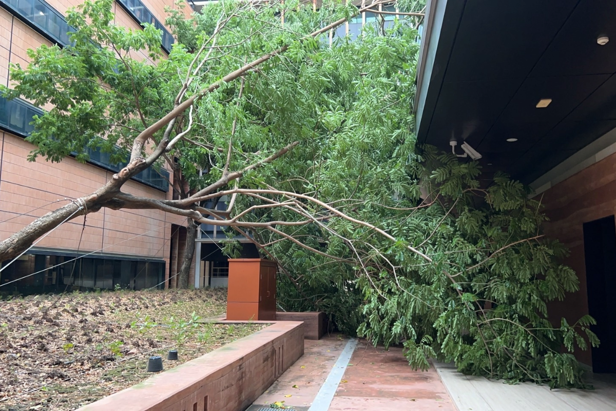 ฝนถล่ม ประตูอาคารรัฐสภาพัง แอร์ดับ ต้นไม้ใหญ่ อาคาร สว. ล้ม