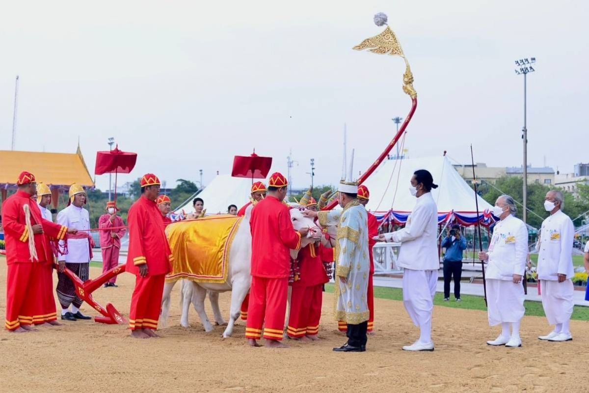 เปิดภาพกระทรวงเกษตร ซ้อมใหญ่ “พระราชพิธีพืชมงคลฯ” ปี 2567