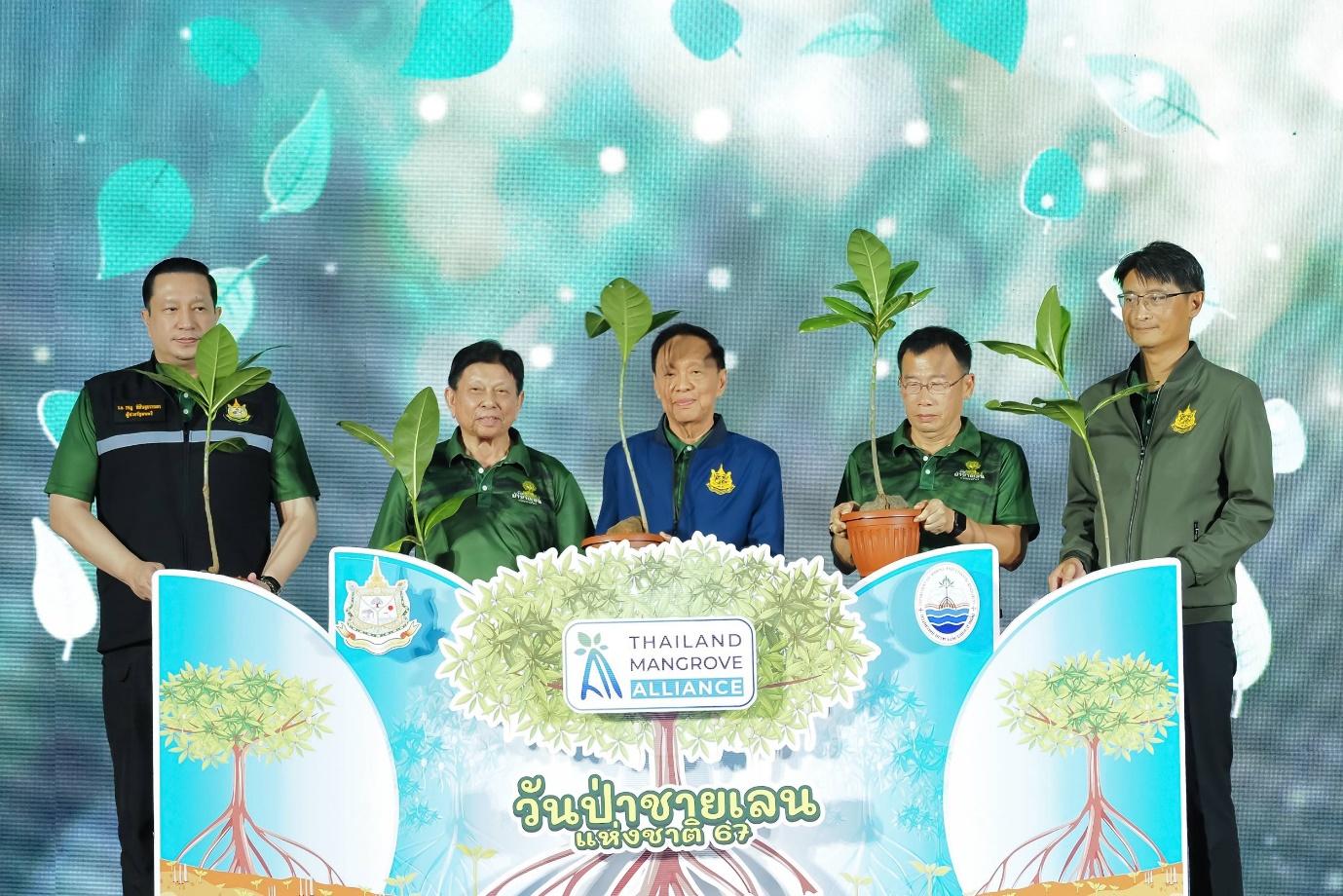 “พัชรวาท” ปลื้ม!! ป่าชายเลนไทยเพิ่มขึ้น