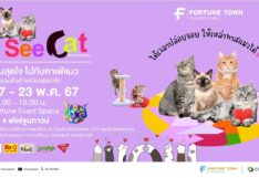ชวนทาสแมวได้ใจฟู กับงาน “See Cat @ Fortune Town”  