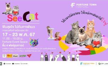 ชวนทาสแมวได้ใจฟู กับงาน “See Cat @ Fortune Town”  