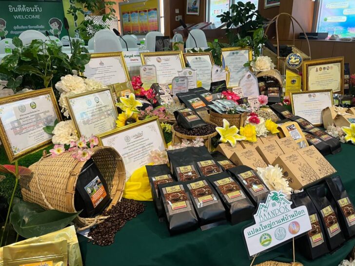 image1 แปลงใหญ่กาแฟบ้านป๊อก จ.เชียงใหม่ กาแฟไทย ใจรักษ์ป่า