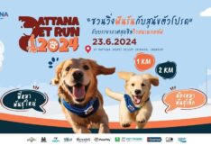 พัฒนา สปอร์ต รีสอร์ท จัดงาน “Pattana Pet Run 2024” 