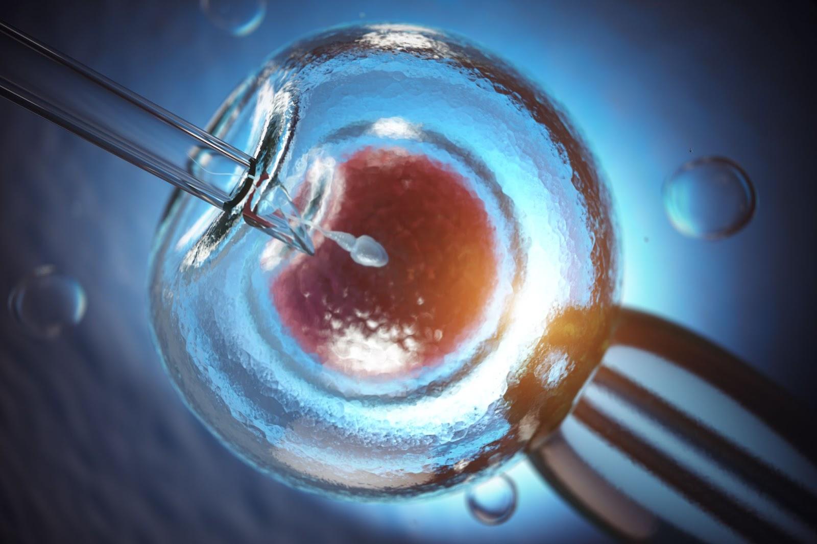 IVF