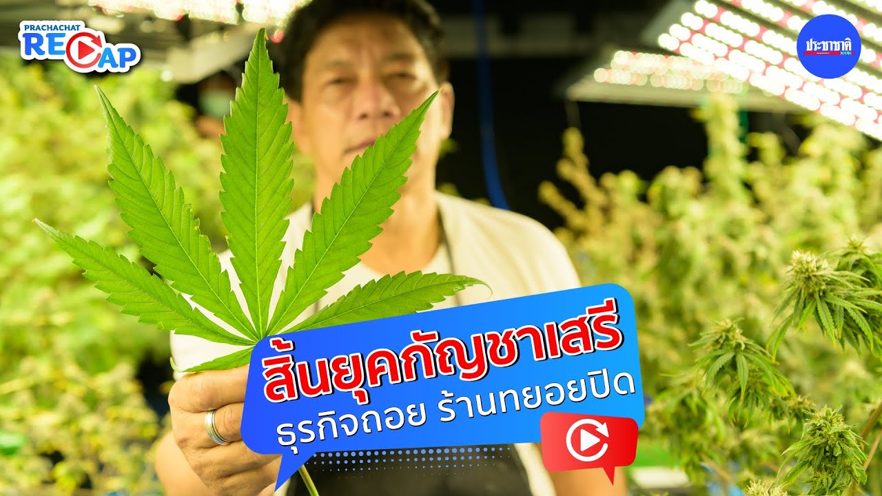 ธุรกิจถอยสิ้นยุคกัญชาเสรี จ่อปิดหมื่นร้าน-สินค้าโบกมือลา
