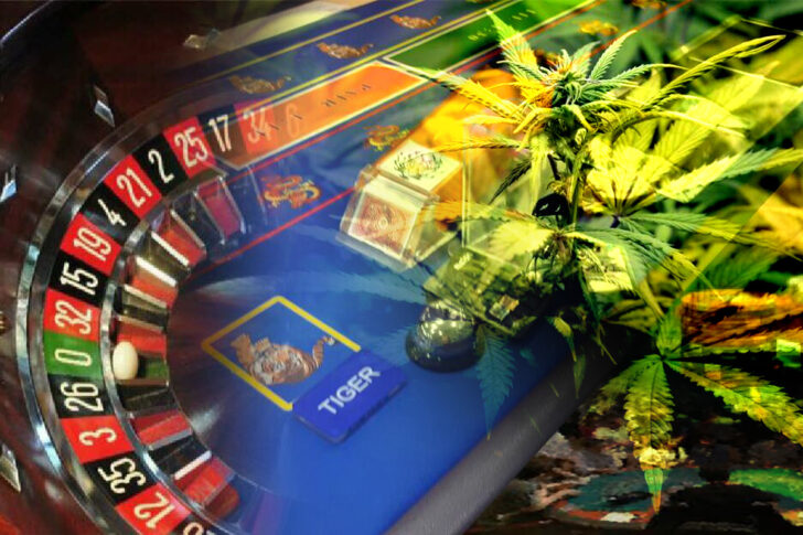 10-2 casino1 กัญชาเสรี กาสิโน