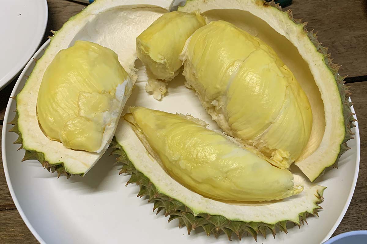 Thong Pha Phum Durian