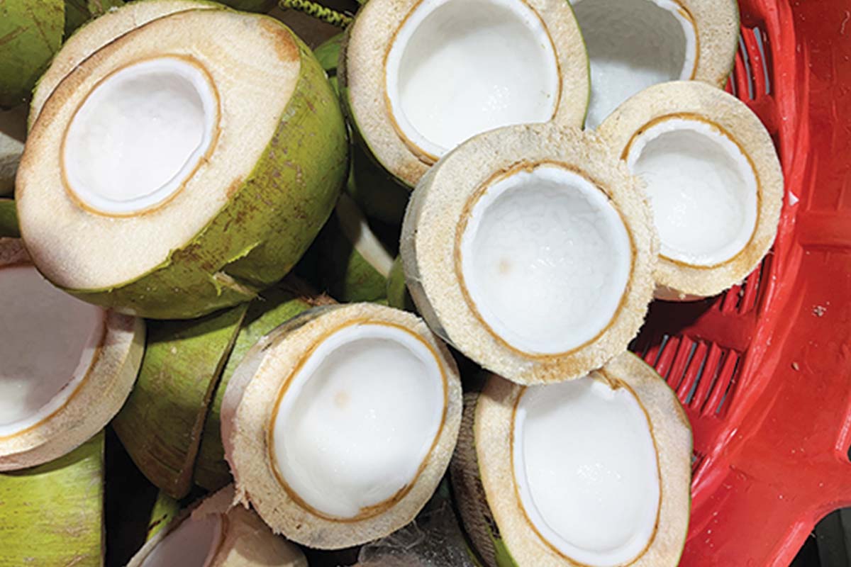 coconut