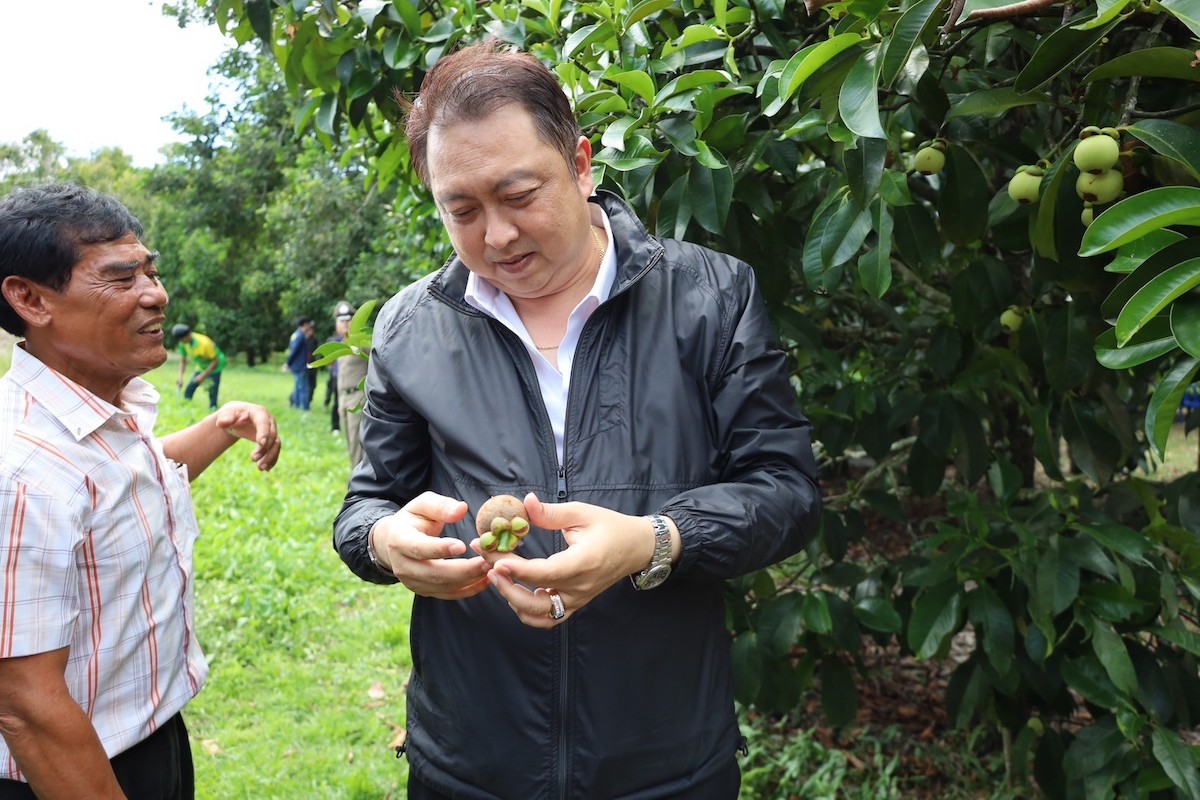 สุชาติ ชมกลิ่น มังคุด