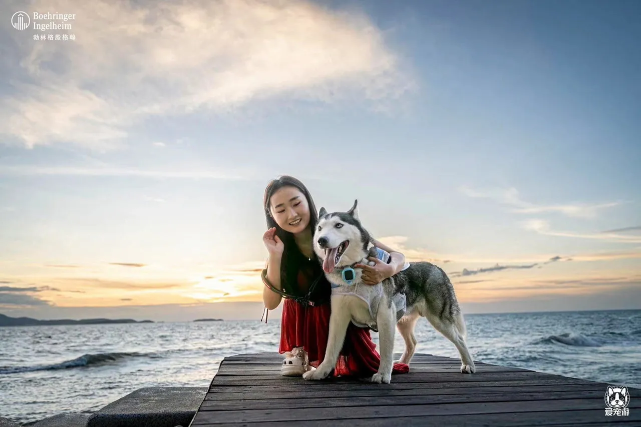 ททท. ผนึก Pet Travel เอาใจกลุ่ม Dog Lover เช่าเครื่องเหมาลำพาทัวร์ไทยพร้อมสุนัขตัวโปรด